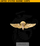 USMC badge skill badge metal badge USMC parachute/spiritus invictus/ - Badgecollection